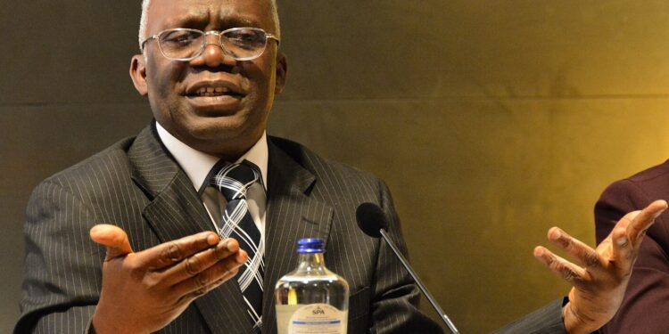 Rivers: Tinubu’s decision is illegal — By Femi Falana