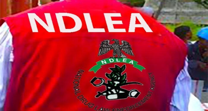 Opinion: Housing/Recreational Motivation for NDLEA – By Emmanuel Onwubiko 