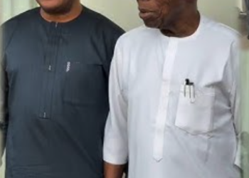 African Democracy faces extinction….. Obasanjo