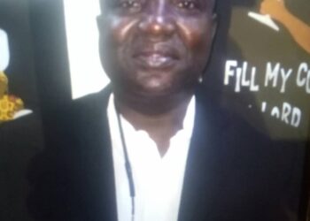 Opinion: Healthcare Financing in Nigeria: A Community Health Insurance Approach Towards Universal Health Coverage