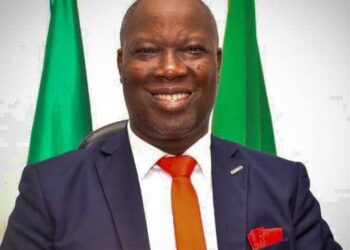 Delta LGs Under-staffed – Udu Chairman