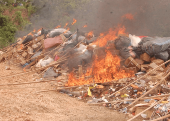 NDLEA Destroys 1.6 Million Kg of Illicit Drugs in Landmark Operation