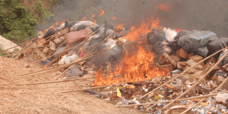 NDLEA Destroys 1.6 Million Kg of Illicit Drugs in Landmark Operation