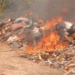 NDLEA Destroys 1.6 Million Kg of Illicit Drugs in Landmark Operation