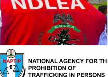 NDLEA, NAPTIP Set Up Teams to Strengthen Collaboration Against Drug, Human Trafficking