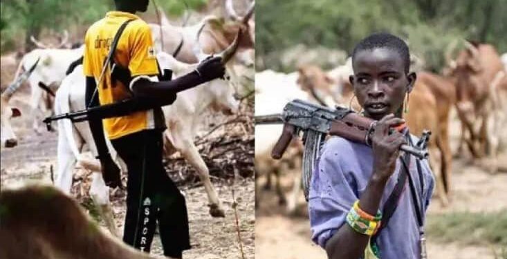 Benue Bloodshed: 23 Die in Suspected Herdsmen Onslaught