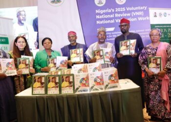 Nigeria Validates 2025 VNR Report on SDGs , Fast-track 2030 Agenda