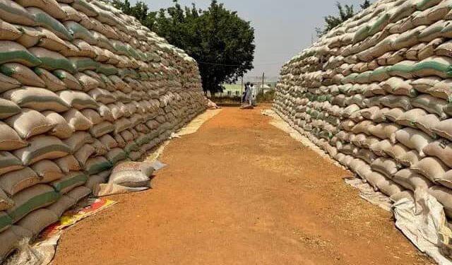 Delta begins sale of subsidized  FG rice to workers