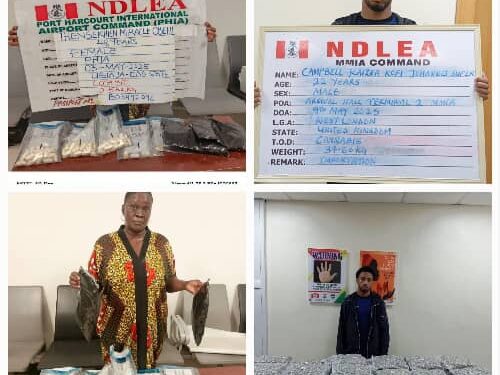 NDLEA arrests Iran-bound woman with cocaine in private part, stomach, bag at PH airport