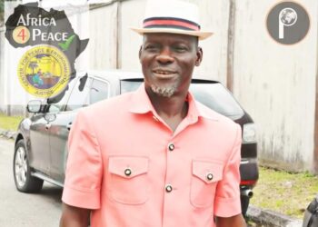 2027: Stop distracting Tinubu with mischievous endorsement — Mulade