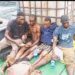 Foreign Vessel Crew Members Throw Four Nigerian Stowaways into Atlantic Ocean