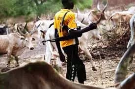 Idoma Traditional Council orders Herders out of their land following deadly attacks