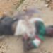 Just in: Suspected Suicide Bomber Explodes in Abuja