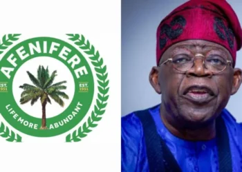Afenifere Warns Against Profiling Tinubu Govt Along Ethnic Lines