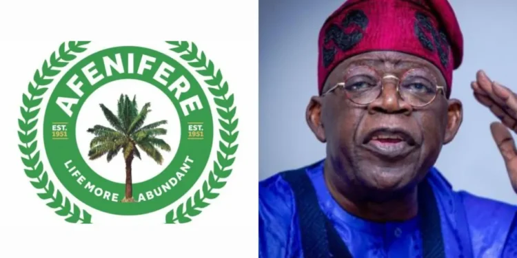 Afenifere Warns Against Profiling Tinubu Govt Along Ethnic Lines