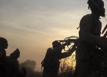 Gunmen Kill 10, Rustle Animals In Fresh Bauchi Attack