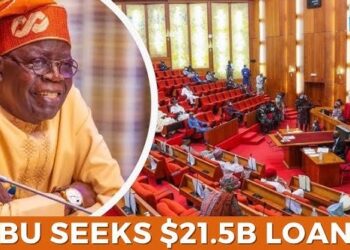 HURIWA Slams Tinubu’s $21.5bn Loan Bid as Economic Enslavement, Calls on Citizens to Resist Toxic Debt Trap – By Emmanuel Onwubiko