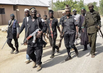 Bombs Wasted, Bandits Walk Free: Vigilante Laments Military Misfires
