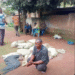 Vendor Selling Vulture Meat as Chicken Nabbed in Abuja