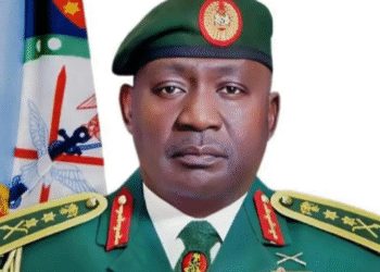 Endless Killings: Let’s Fence Our Borders to Secure Nigeria — CDS