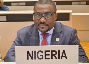 Former Lagos Finance Commissioner Launches Foundation on Sickle Cell Disease.  Education, Community Service at 40.