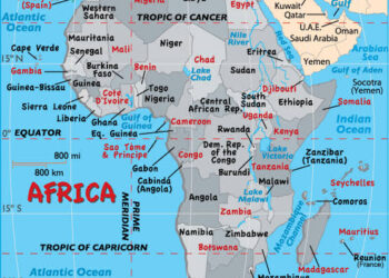 The Lucky Idiot: Anatomy of a Glamourized Fool in Power  *The Tragedy of a Nation That Claps for Its Own Collapse