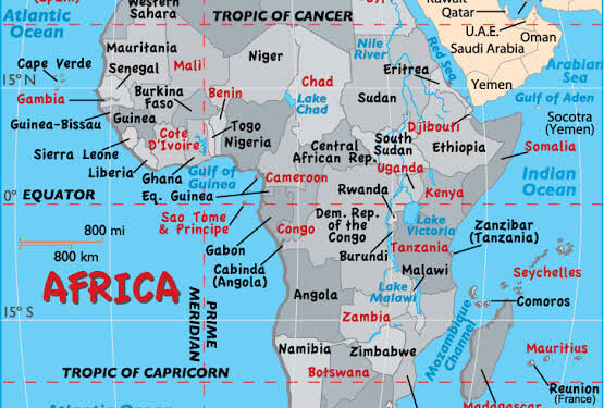 The Lucky Idiot: Anatomy of a Glamourized Fool in Power *The Tragedy of a Nation That Claps for Its Own Collapse