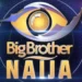 BBNaija Season 9 Reunion Blasts Off with Scandals and Showdowns