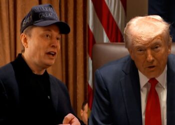 I regret criticising Trump – Elon Musk