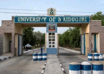 Tinubu names UNIMAID Muhammadu Buhari University