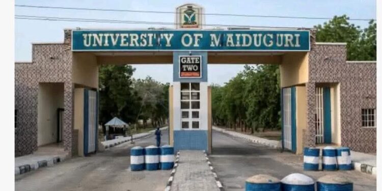 Tinubu names UNIMAID Muhammadu Buhari University