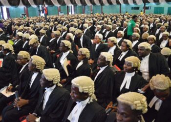 Opinion: Nigeria: A Country Producing Lawyers, But Not Obeying The Rule Of Law