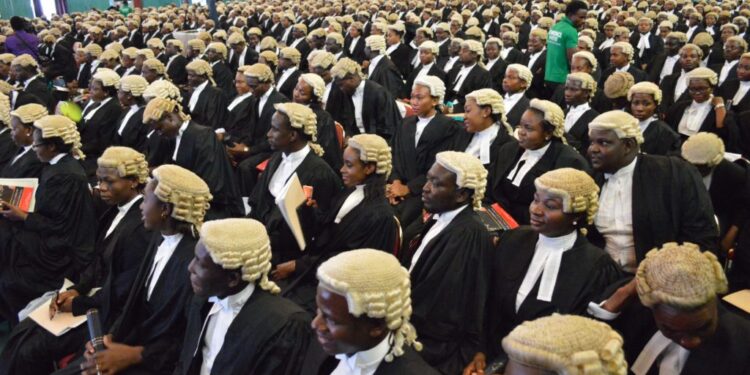 Opinion: Nigeria: A Country Producing Lawyers, But Not Obeying The Rule Of Law