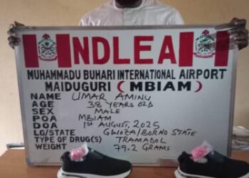 NDLEA WEEKLY UPDATE BY FEMI BABAFEMI Cocaine, tramadol consignments in vehicle side mirrors intercepted at Lagos airport . As NDLEA arrests dispatch riders distributing illicit drugs in Abuja; nabs businesswoman behind cocaine in lipsticks; recovers opioids in footwears at Maiduguri airport
