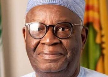 Buhari’s man Professor  Gambari appointed AU member of Eminent Experts  *panel to review governance, peace, and security frameworks.