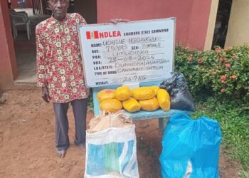 75-Year-Old Grandpa Arrested as NDLEA Destroys 178,000kg Skunk in Taraba Forest