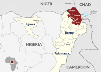 How ISWAP Runs Its Own Govt Across Lake Chad Region