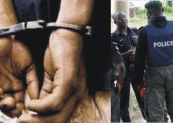 ‘How We Killed Nurse, Baby After ₦3m Ransom’ – Abuja Security Guard Confesses