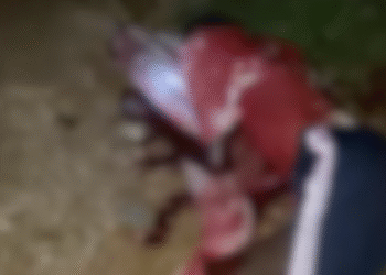 Robbers Attack Bauchi State Poly, Kill One Student