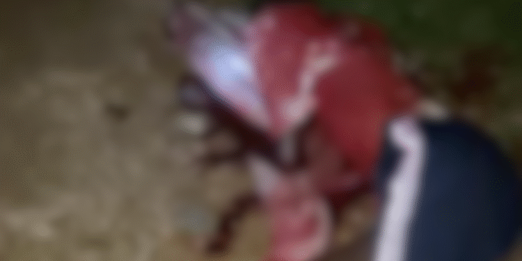 Robbers Attack Bauchi State Poly, Kill One Student