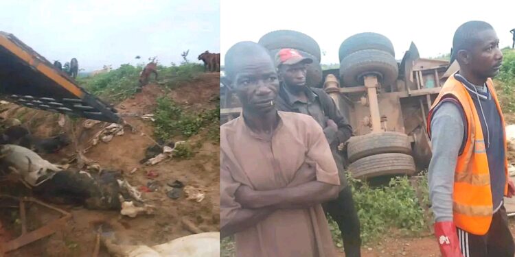 Tragic Crash Leaves 22 Dead, 20 Injured as Trailer Overturns En-route Lagos