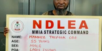 NDLEA Dismantles Two Cocaine Cartels, Arrests Mastermind and Five Others