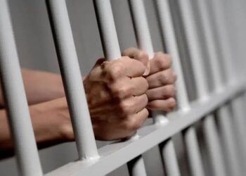 UNICAL LAW PROF GOES TO JAIL FOR SEXUAL HARASSMENT