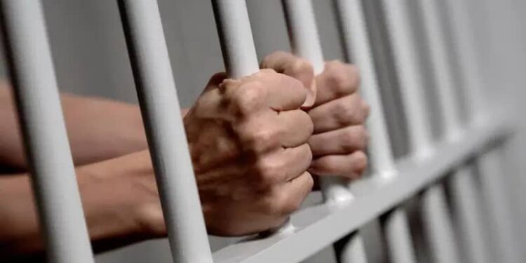 UNICAL LAW PROF GOES TO JAIL FOR SEXUAL HARASSMENT