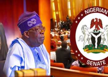Senate Begins Debating Nigeria’s Insecurity