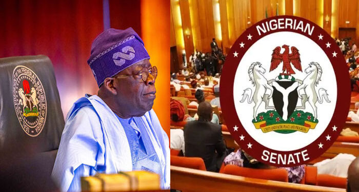 Senate Begins Debating Nigeria’s Insecurity