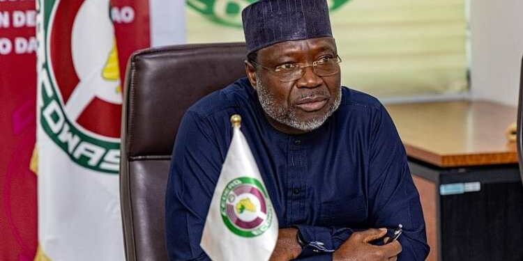 ECOWAS Declares State of Emergency in West Africa