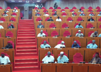 Senators decry lack of funds for committees, months after inauguration