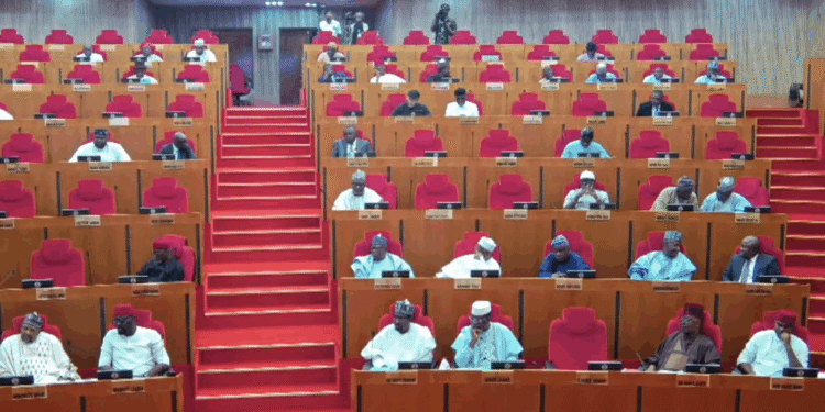 Senators decry lack of funds for committees, months after inauguration