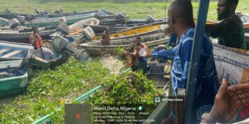 NIWA Sustains Clean-Up Of Delta Waterways To Enhance Safety During Navigation